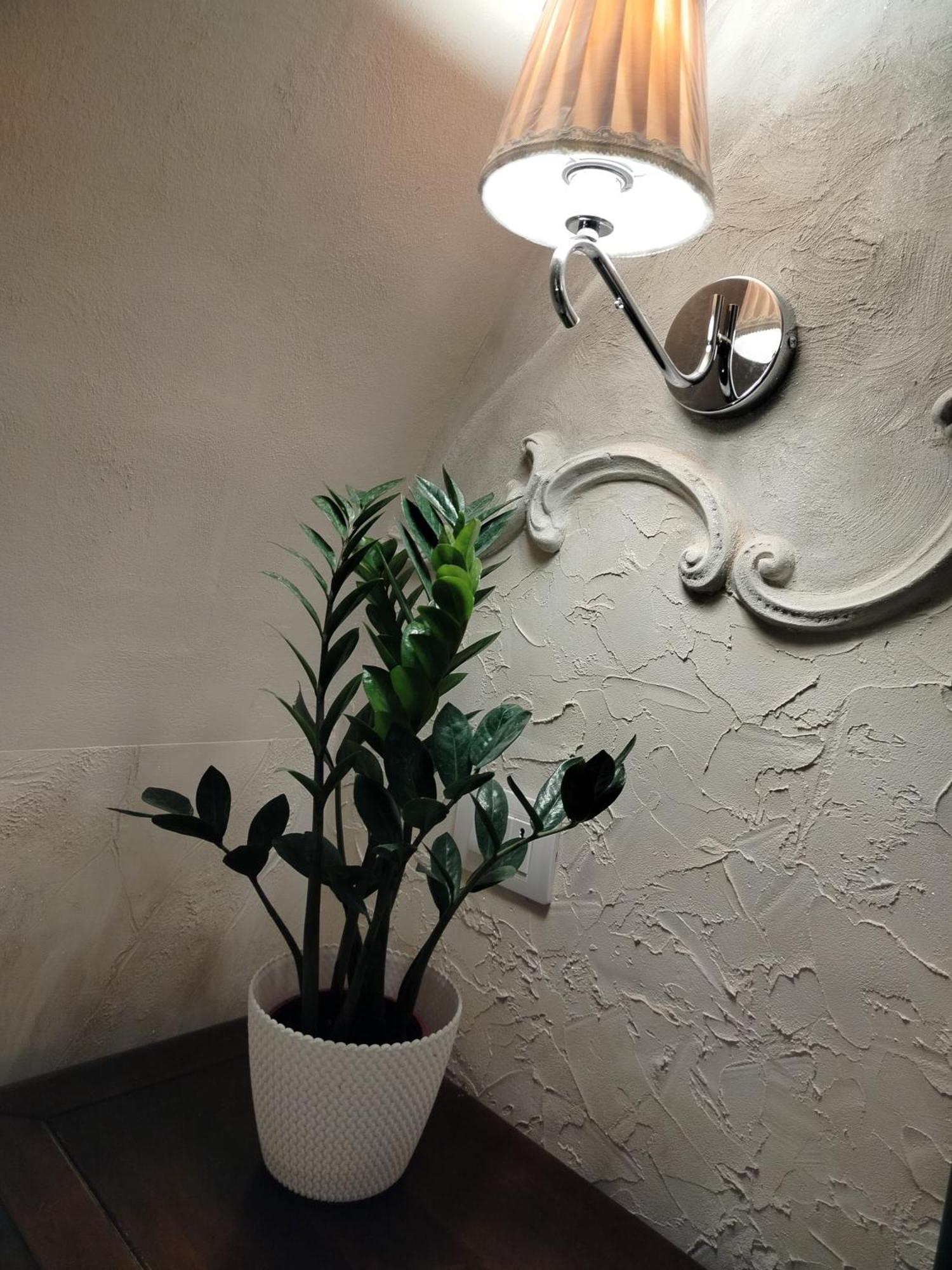 Appartamento Azalea House Catania